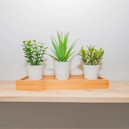 Ybh Pracer, 27 Lejlighed Vigo