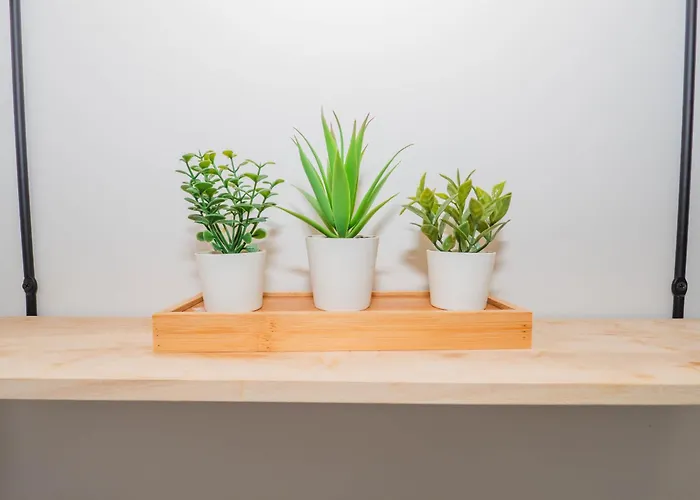 Ybh Pracer, 27 Apartamento Vigo